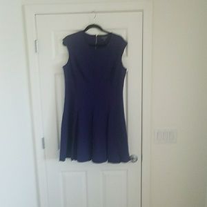 The Limited Purple Sleeveless Fit and Flare
